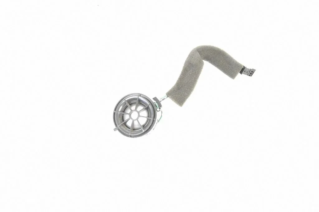 Skaļrunis (-ņi) aizmugurējās durvīs 5H2219A067CA