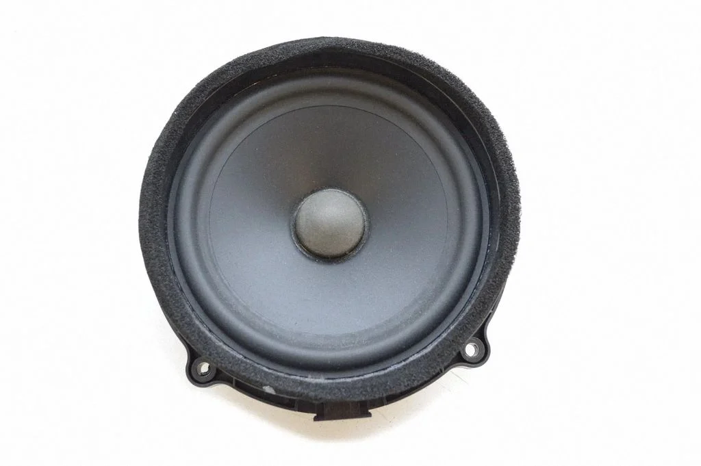 Skaļrunis (-ņi) aizmugurējās durvīs BH2218808CA