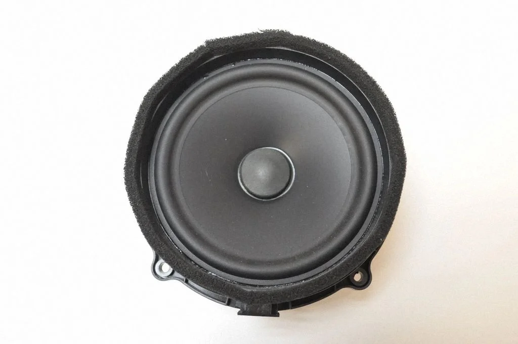 Skaļrunis (-ņi) aizmugurējās durvīs – Land Rover Range Rover Sport L320 (2005-2013)