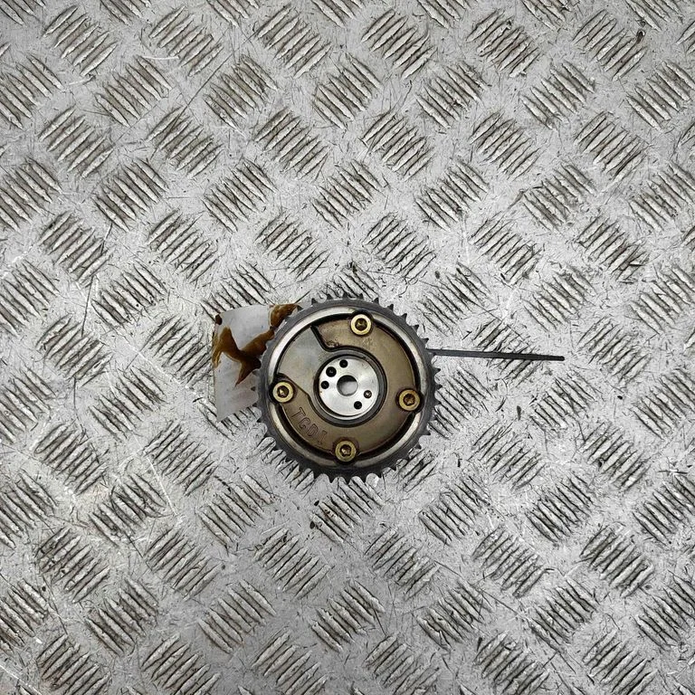 Sadales vārpstas skriemelis/ VANOS 243702B700