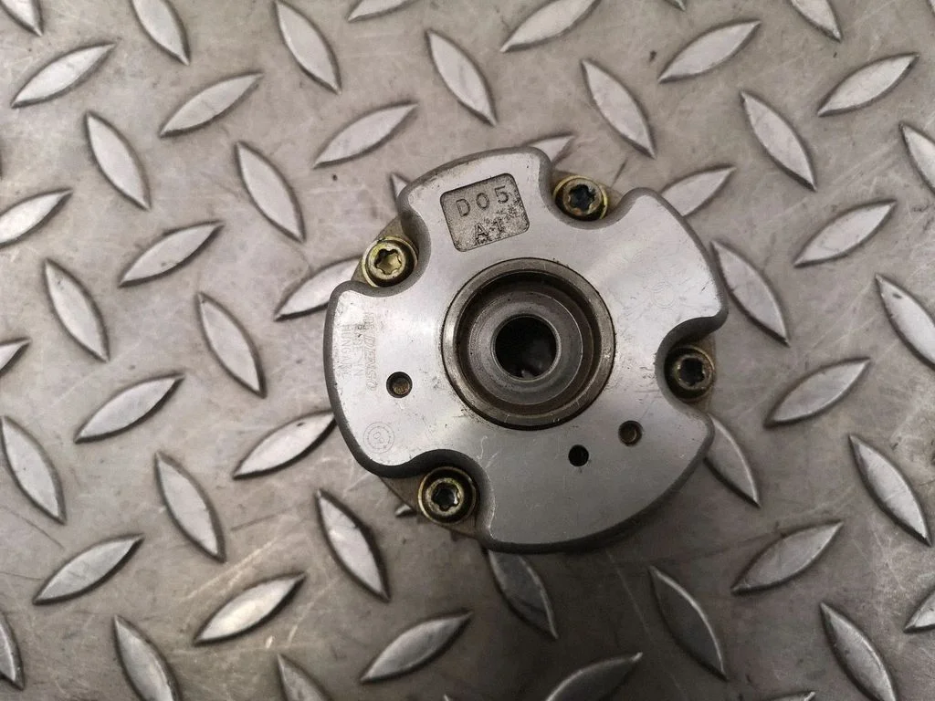 Sadales vārpstas skriemelis/ VANOS – Audi A5 Sportback 8TA (2009-2016)