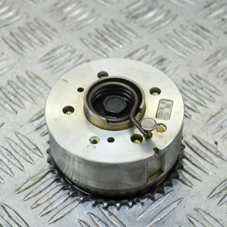 Sadales vārpstas skriemelis/ VANOS 6U28601128