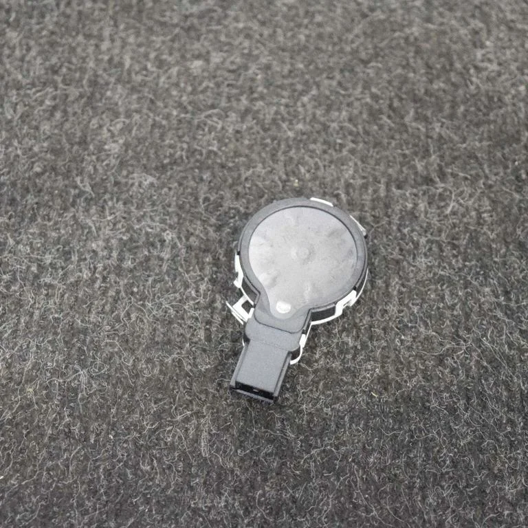 Lietus sensors 31314540