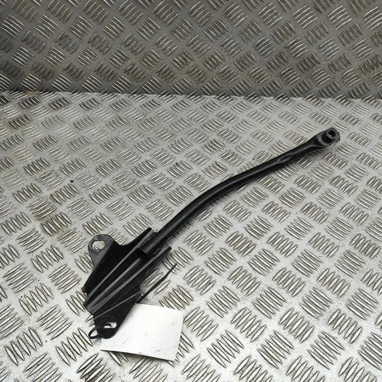Other body part N2435648XB