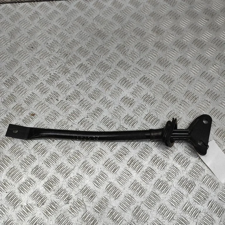 Other body part EX533B329AB