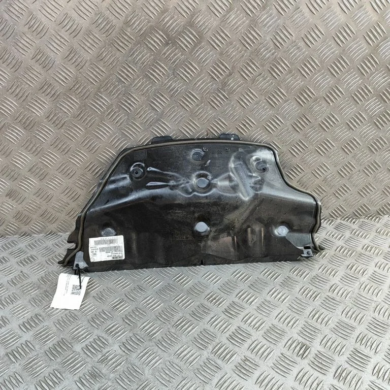 Other body part A1676209502