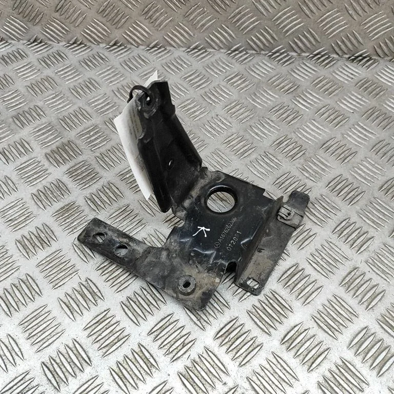 Other body part A1676262300