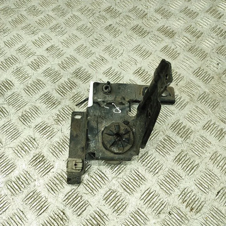 Other body part A1676262300