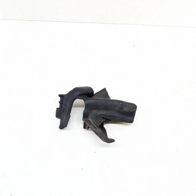 Other body part EX5329730B