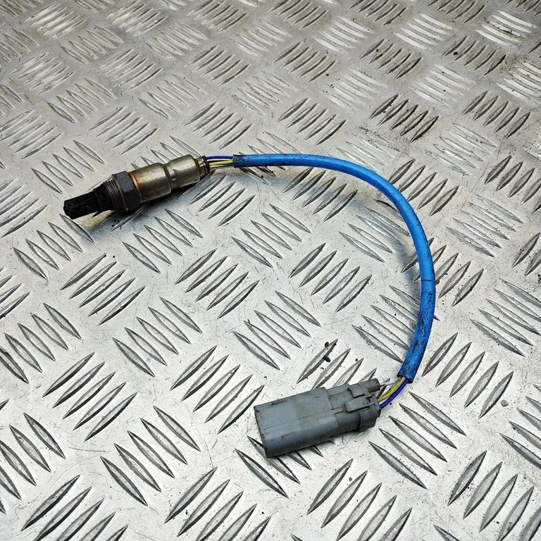 Lambda zonde F1F19Y460CA