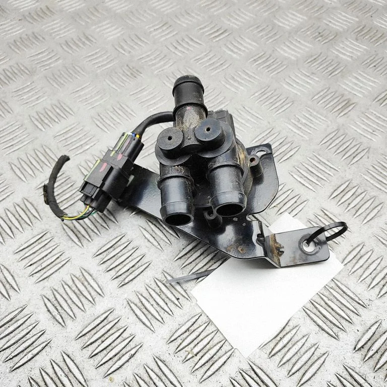 Coolant heater SC2EM810950
