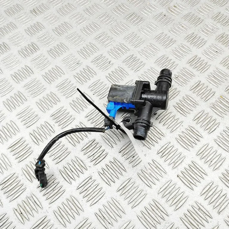 Coolant heater 9839741280