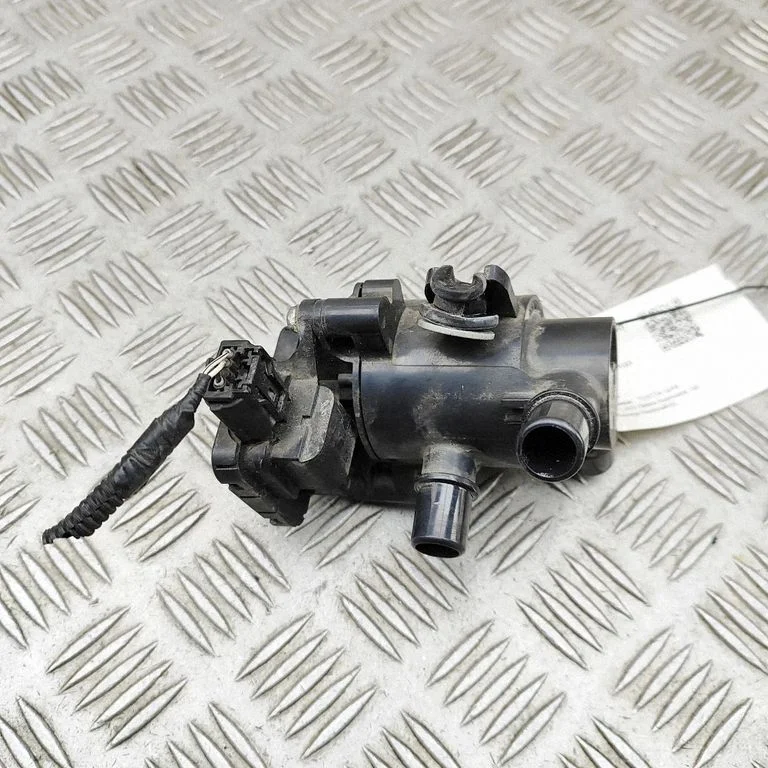 Coolant heater VN0823000011