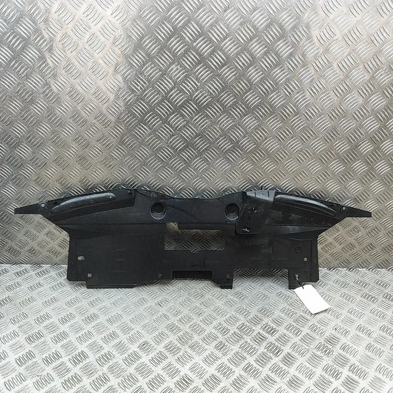 Radiator trim 620366902R