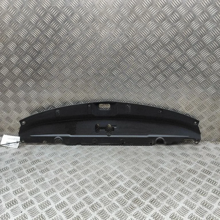 Radiator trim 7403A314