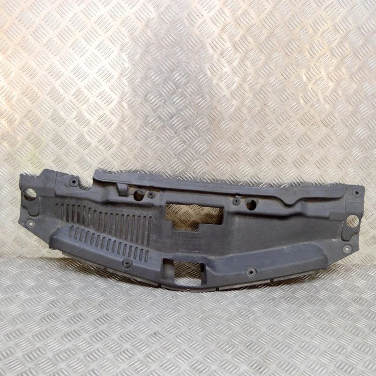 Radiator trim 95079808