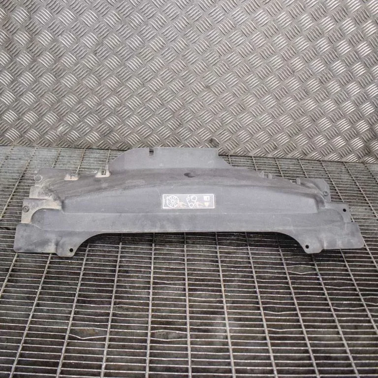 Radiator trim EX538A303AA