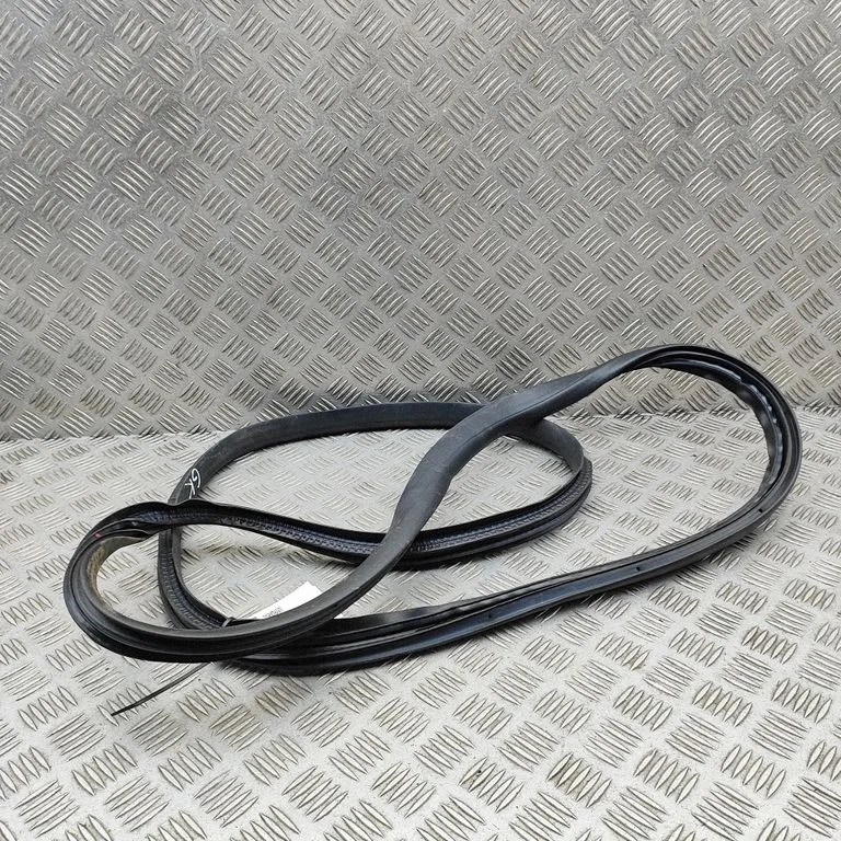 Rubber seal rear door 769233185R