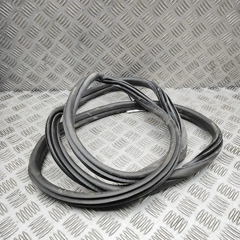 Rubber seal rear door 7393449
