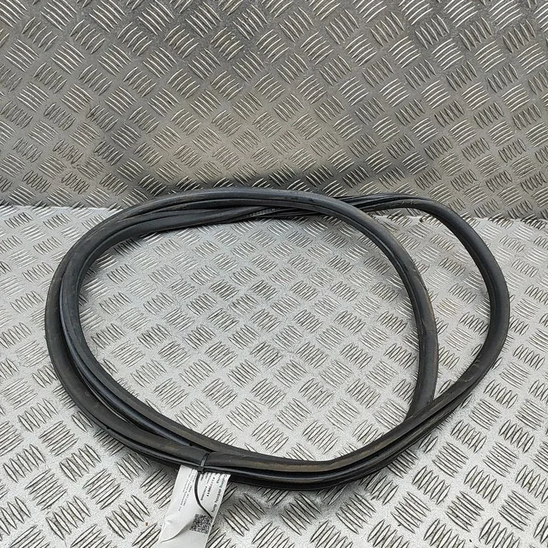 Rubber seal rear door 7393449