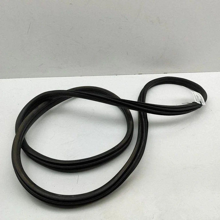 Rubber seal rear door 7407375