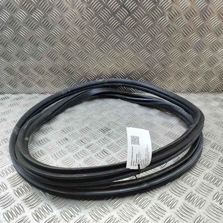 Rubber seal rear door 8491451