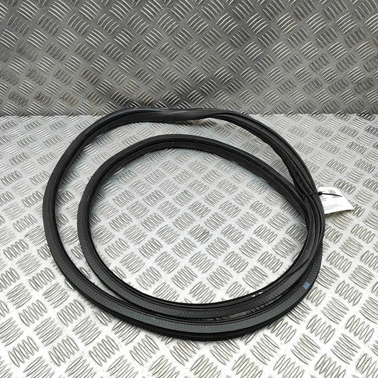 Rubber seal rear door 9813059680