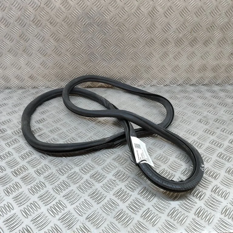 Aizmugurējo durvju blīvgumija 971833721