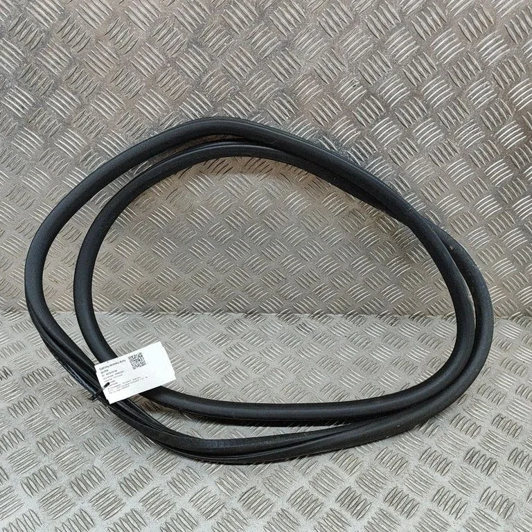 Aizmugurējo durvju blīvgumija 9811538180