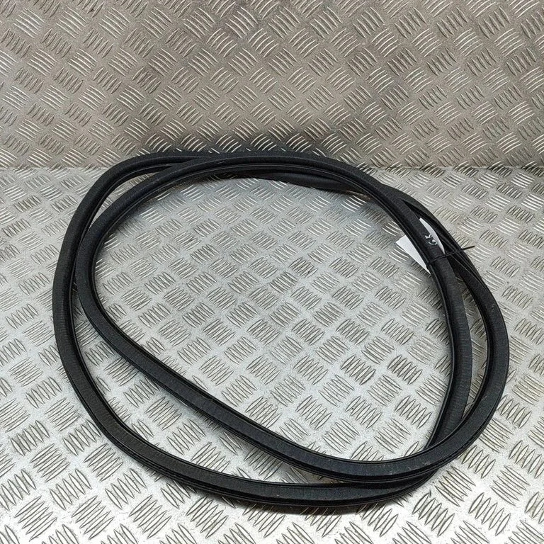 Uszczelka drzwi tylnych 9816902580