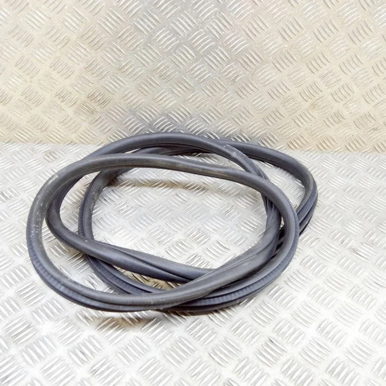 Rubber seal rear door 7393449