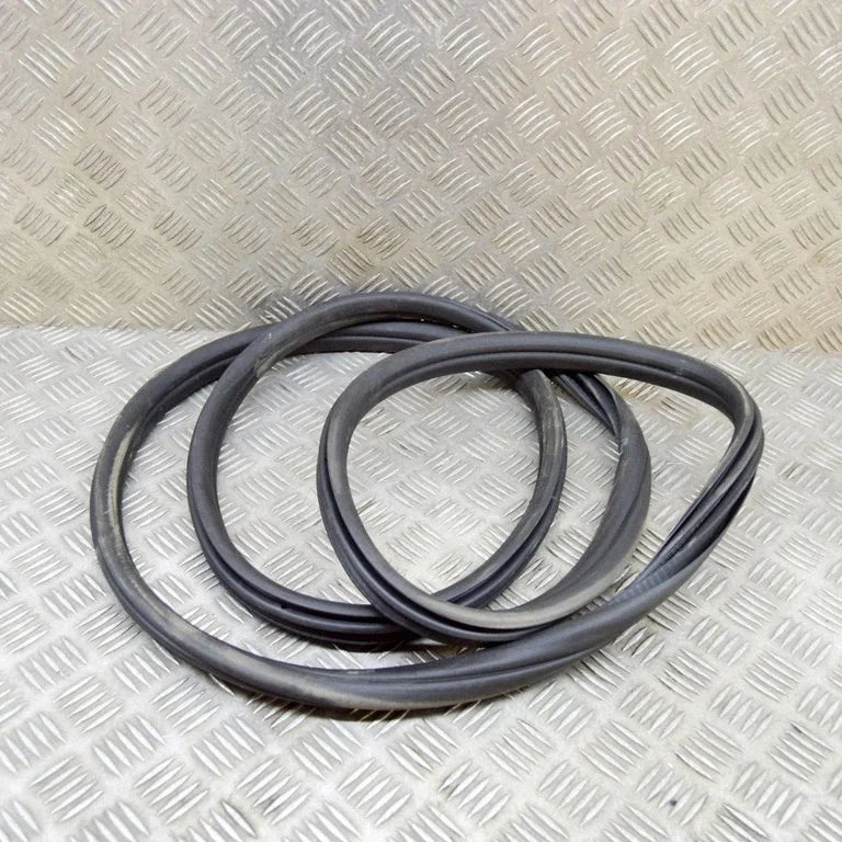 Rubber seal rear door 7393449