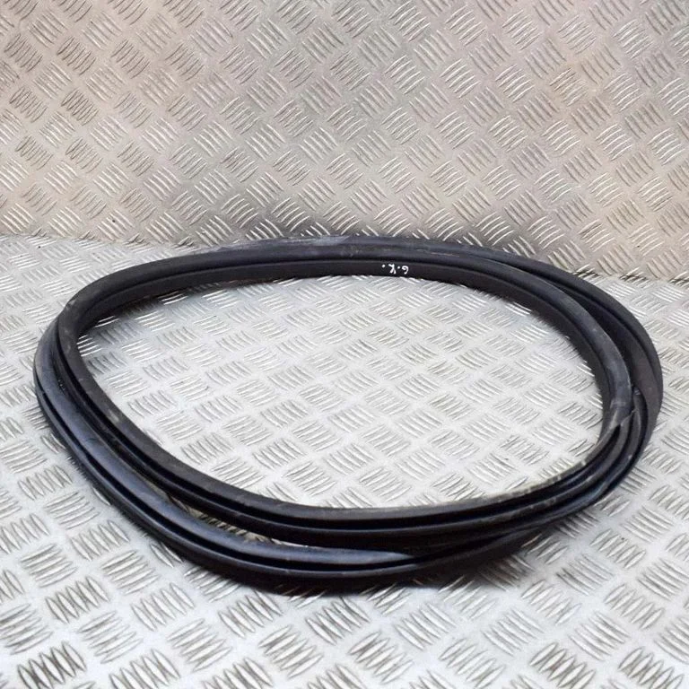 Rubber seal rear door 7393449