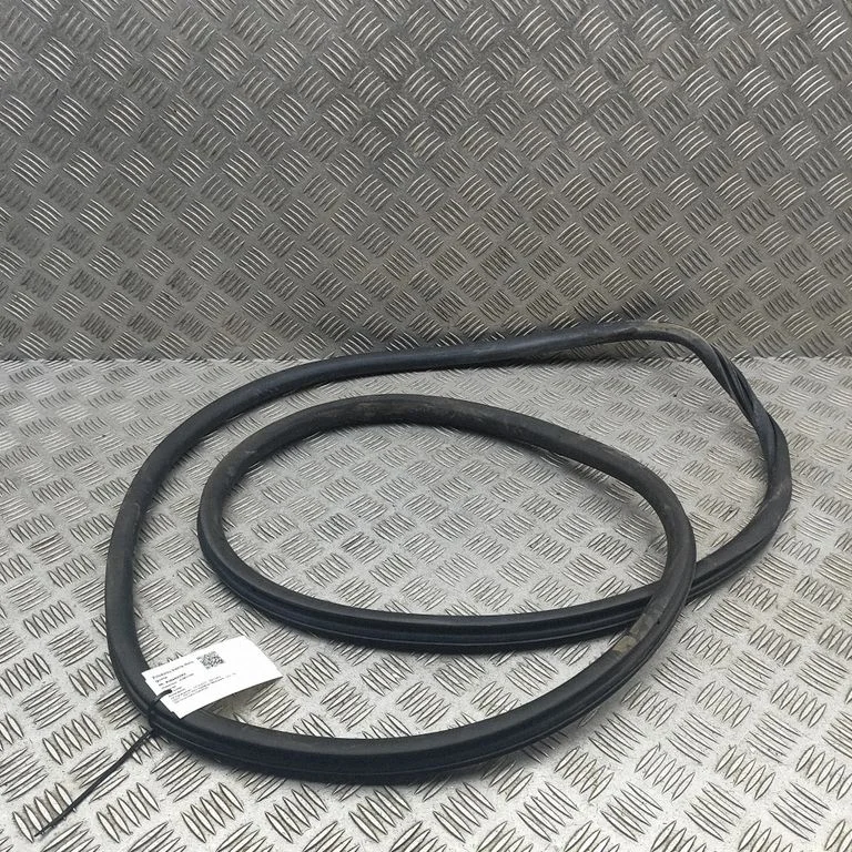 Blīvgumija (uz priekšējām durvīm) 9677519680