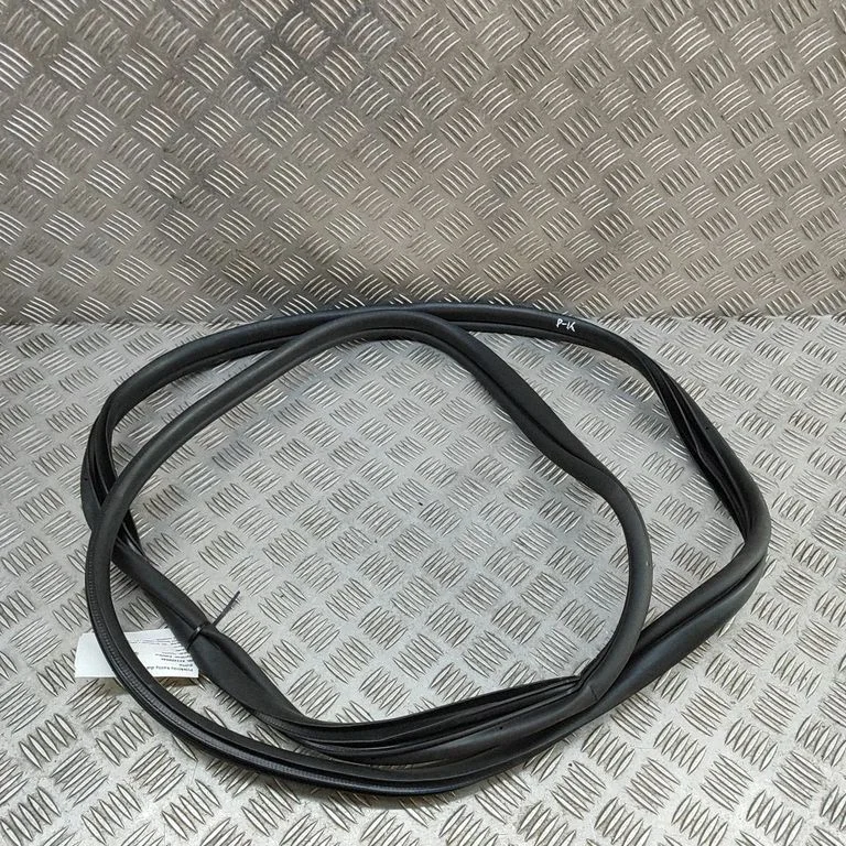 Blīvgumija (uz priekšējām durvīm) 82110R2000