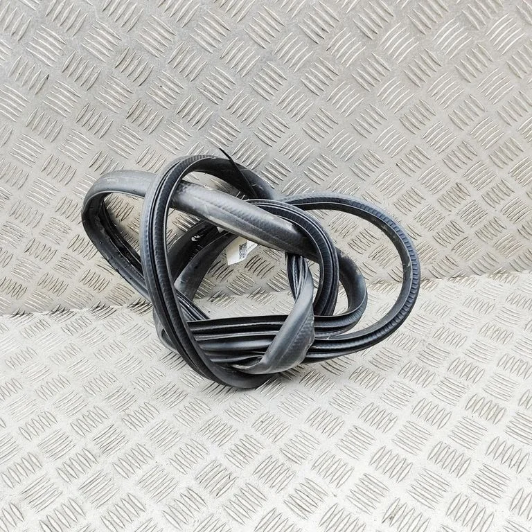 Blīvgumija (uz priekšējām durvīm) 808331013R