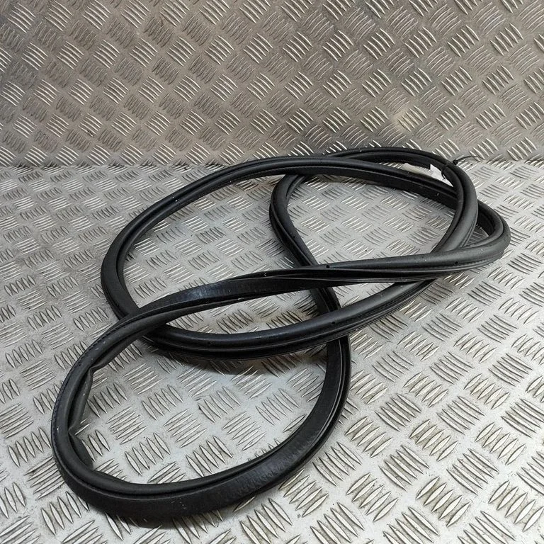 Rubber seal front coupe door 31662569