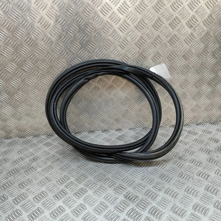 Blīvgumija (uz priekšējām durvīm) 31108801