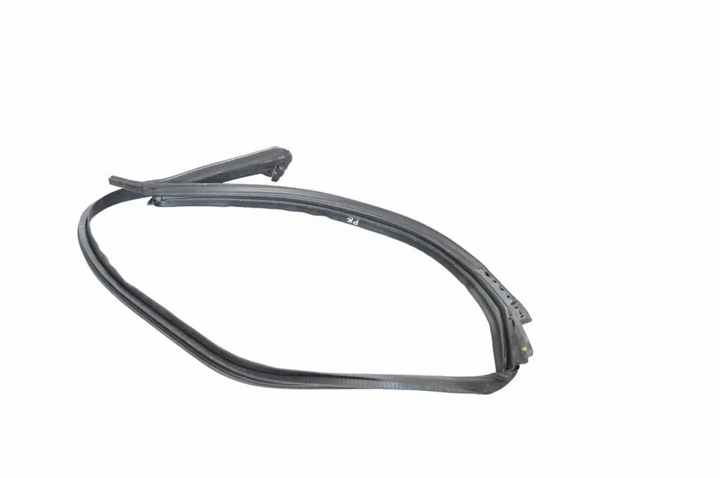 Rubber seal front coupe door – left
