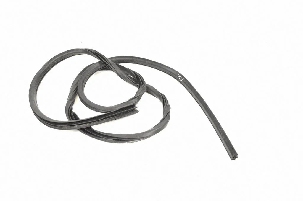 Rubber seal front coupe door – left