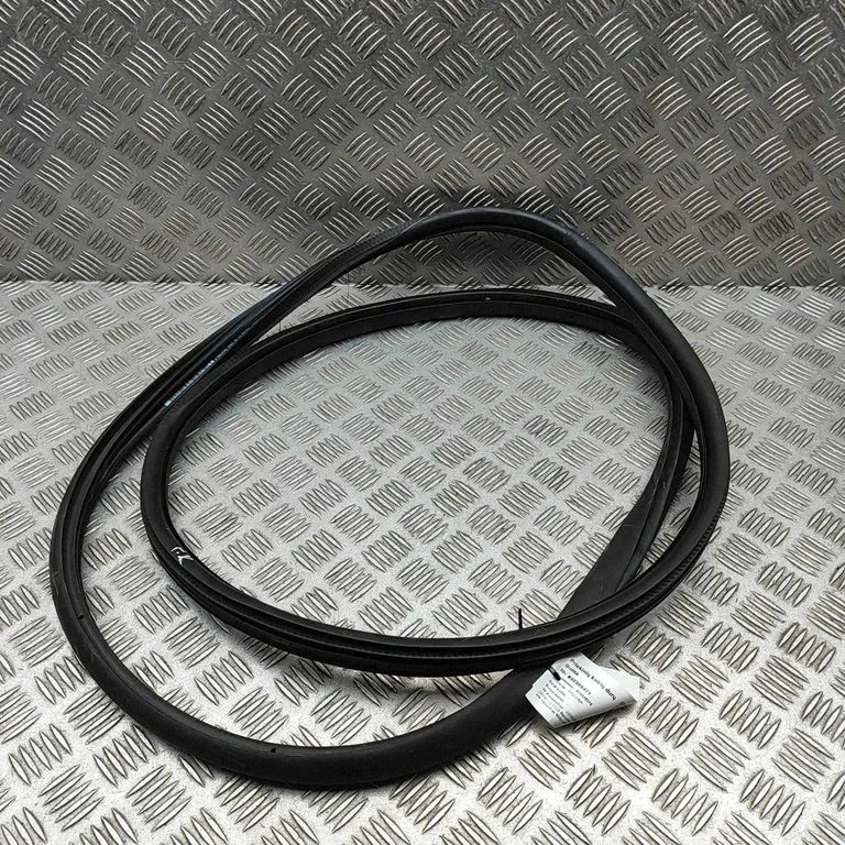 Rubber seal front coupe door 9813059580