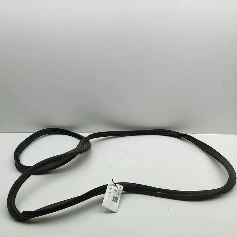Blīvgumija (uz priekšējām durvīm) 2GS867911C