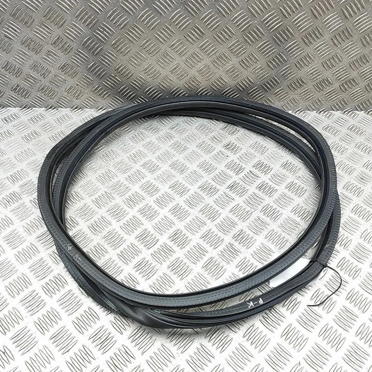 Blīvgumija (uz priekšējām durvīm) 9677519680