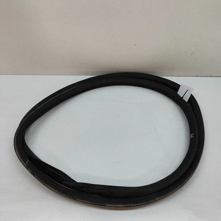 Rubber seal front coupe door 9836219280