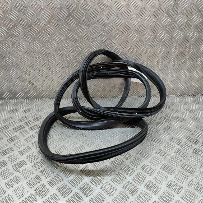 Blīvgumija (uz priekšējām durvīm) B000807680