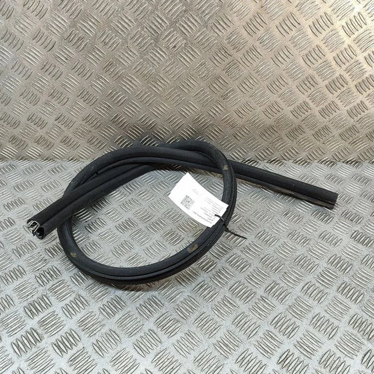 Blīvgumija (uz priekšējām durvīm) A1726970051