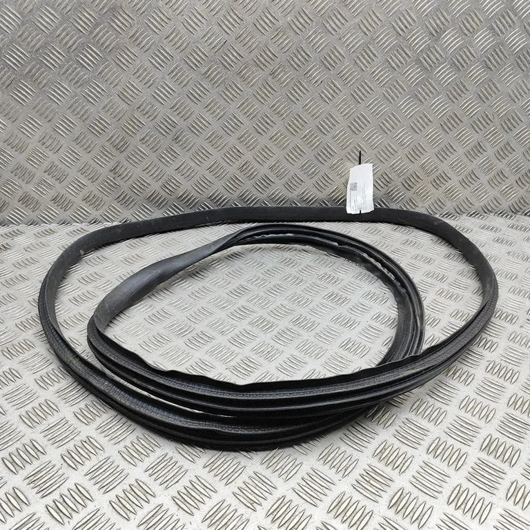 Rubber seal front door (on door) 808388135R