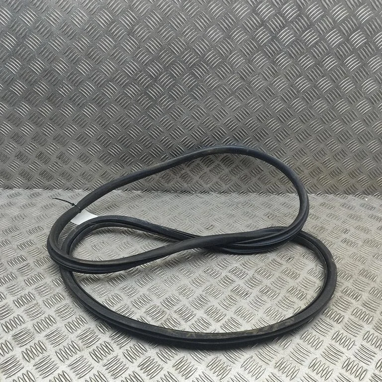 Priekšējā blīvgumija (uz durvīm) 9677519680