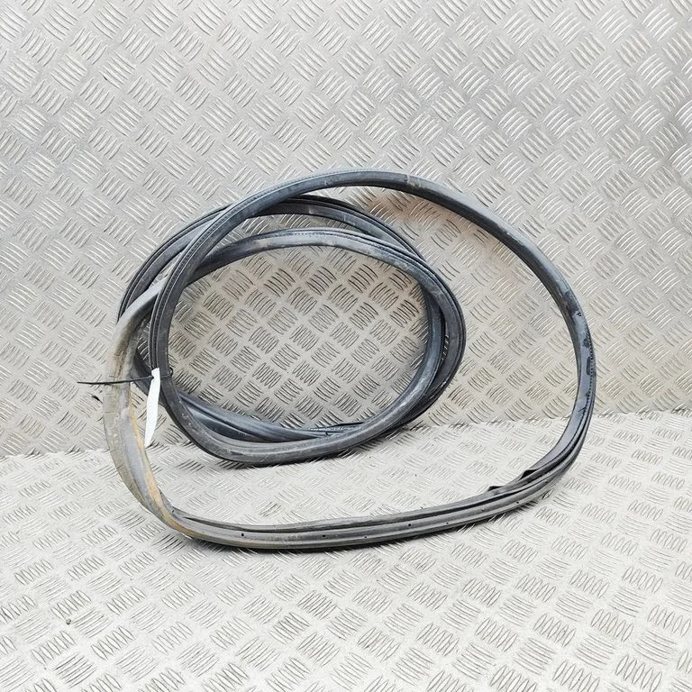 Rubber seal front door (on door) BK31V20708CA
