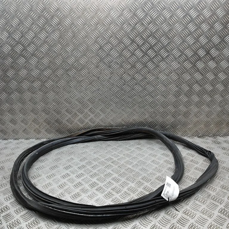 Rubber seal front door (on door) BK31V20708CA